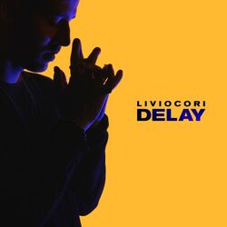 Cover of DELAY