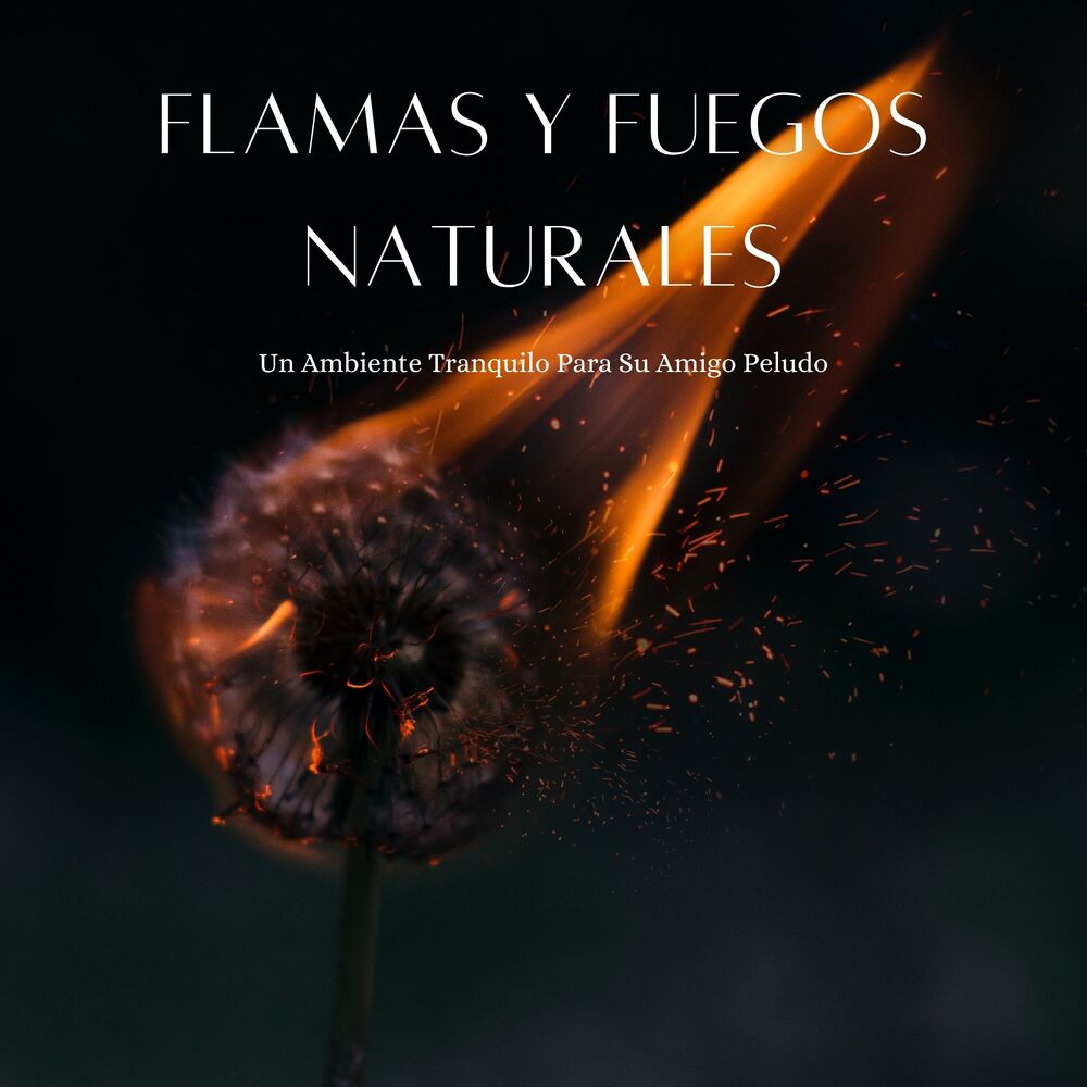 Picture of Flamas Y Fuegos Naturales: Un Ambiente Tranquilo Para Su Amigo Peludo