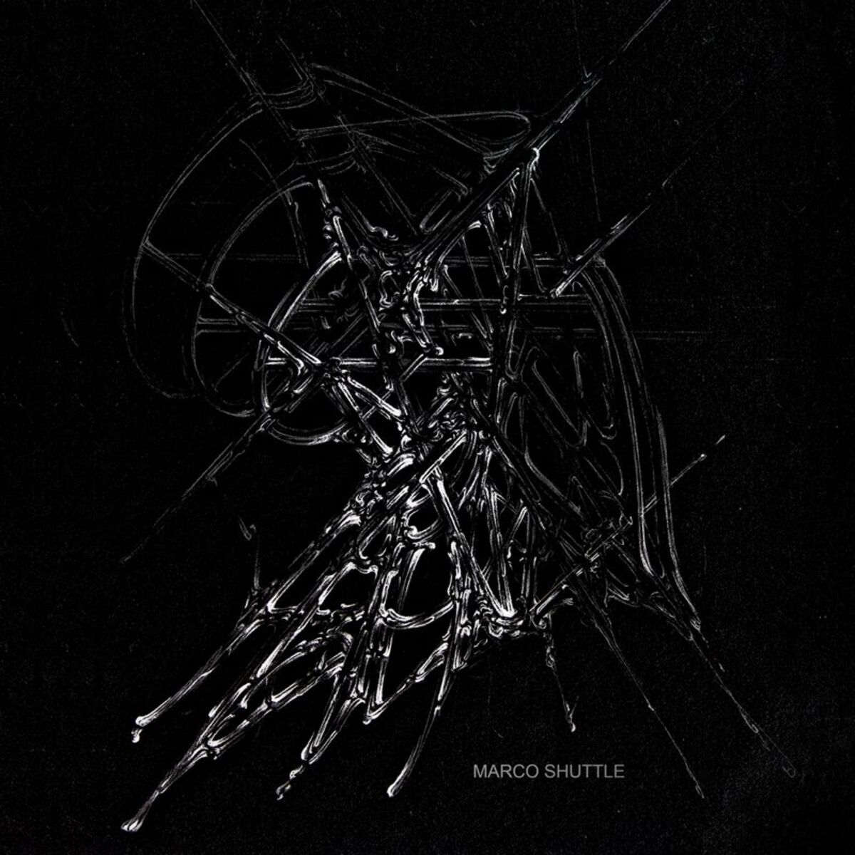 Album cover of MSP01