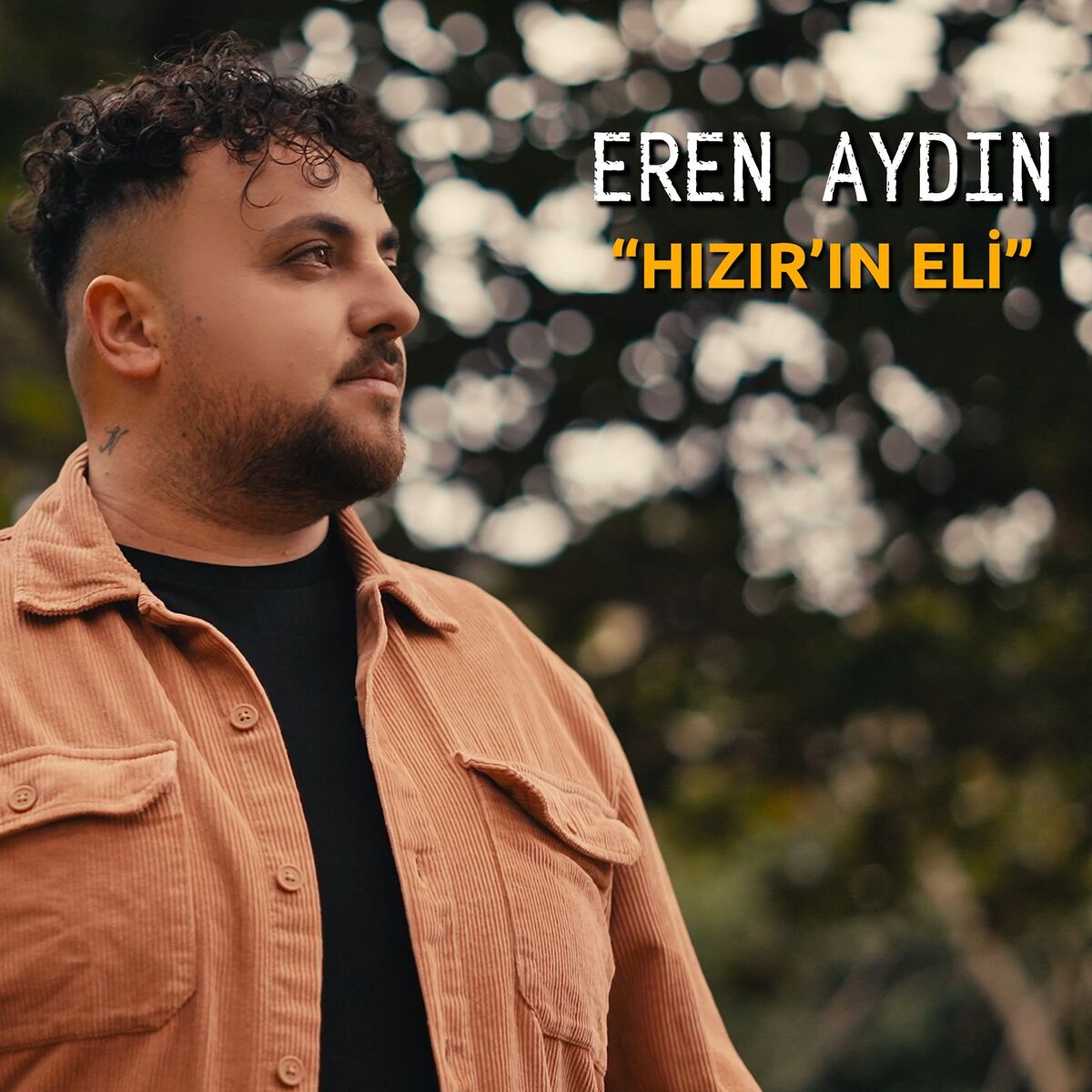 Album cover of Hızır'ın Eli