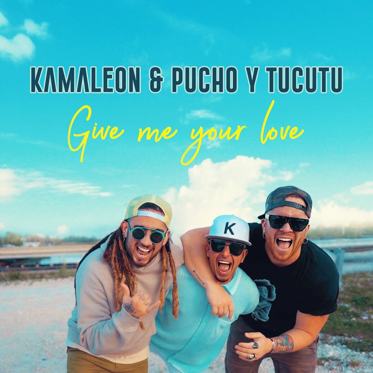 Album cover of Give Me Your Love