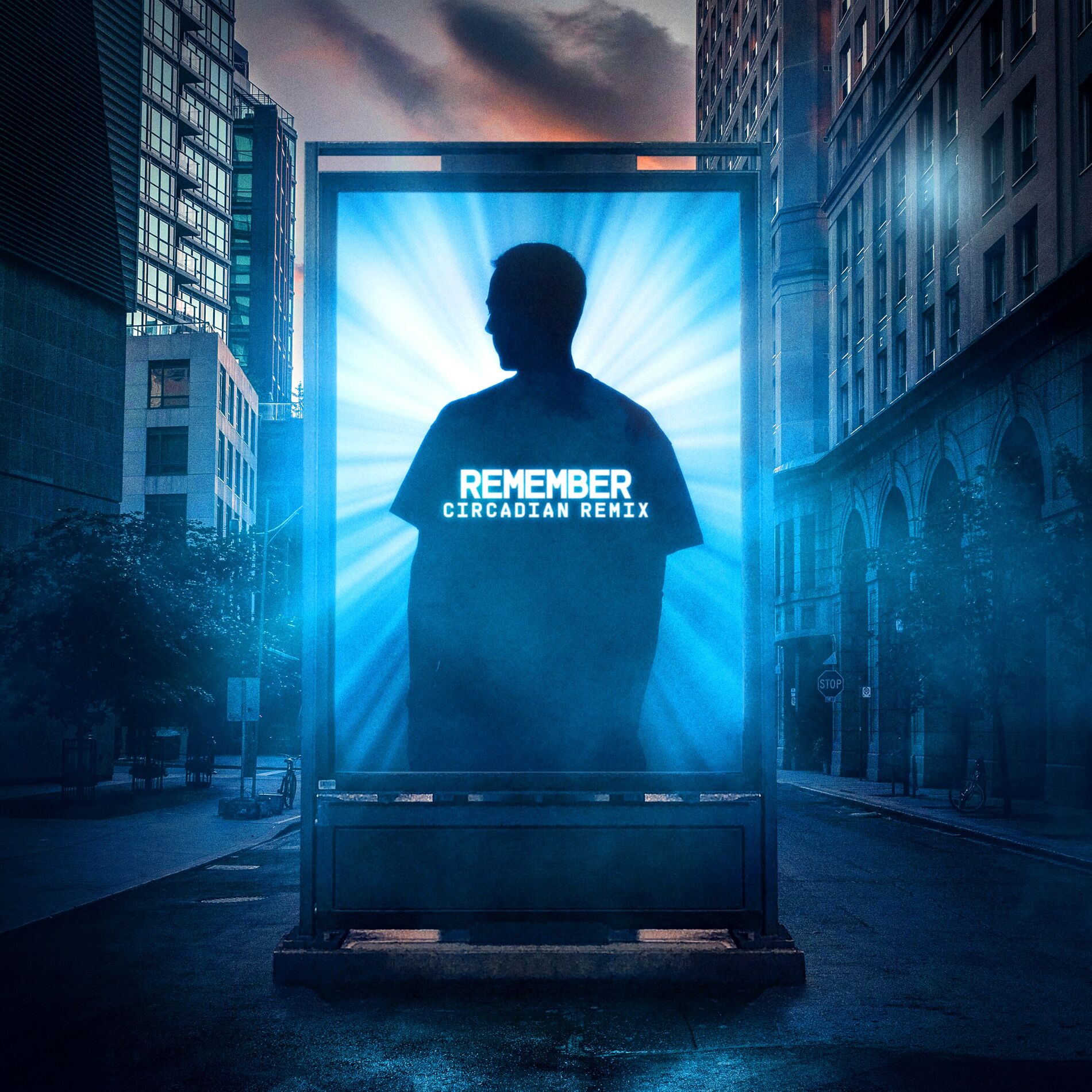 Album cover of Remember