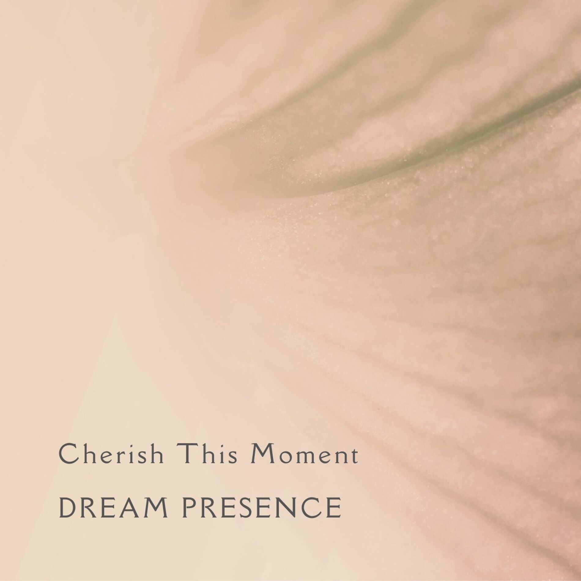Album cover of Cherish This Moment