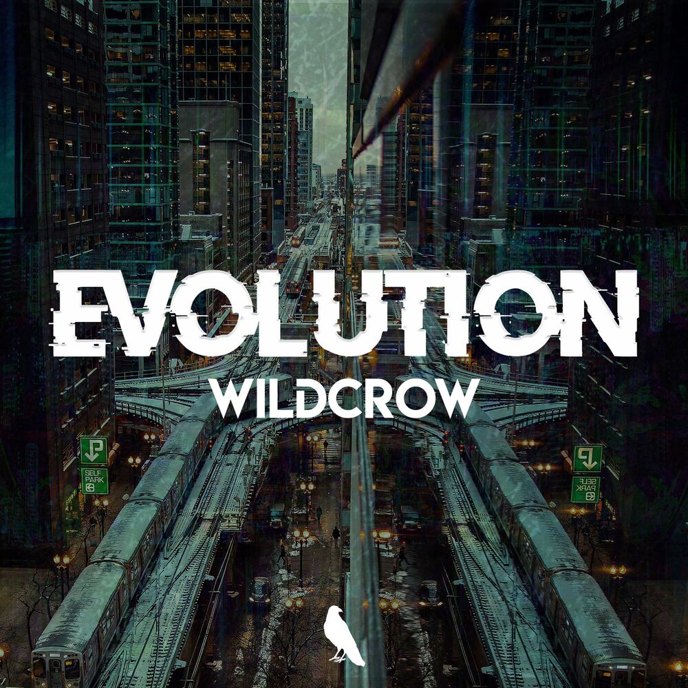 Picture of Evolution