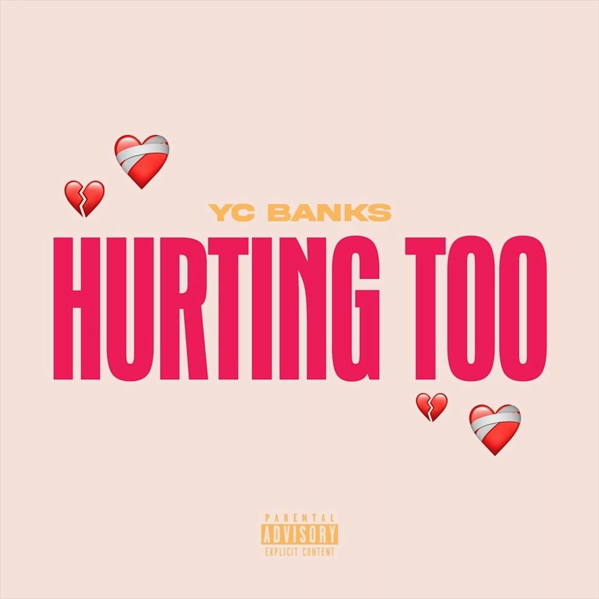 Album cover of Hurting Too
