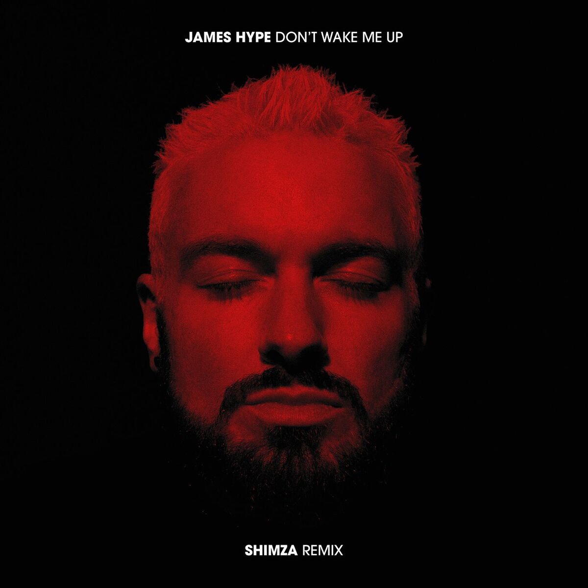 Album cover of Don't Wake Me Up (Shimza Remix)