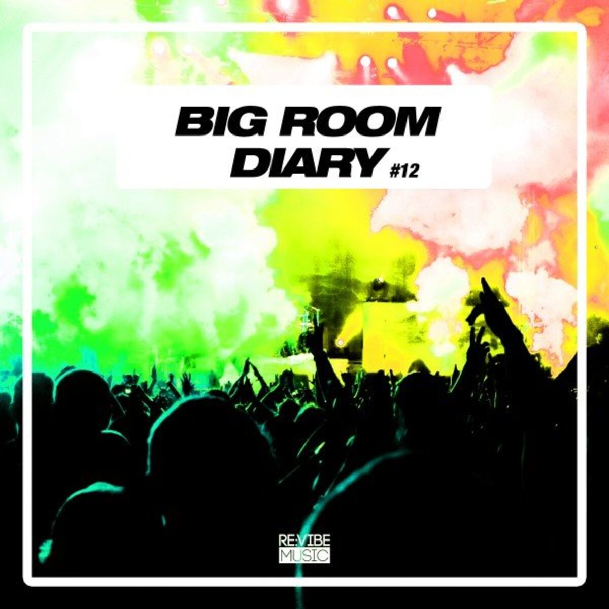 Album cover of Big Room Diary, Vol. 12