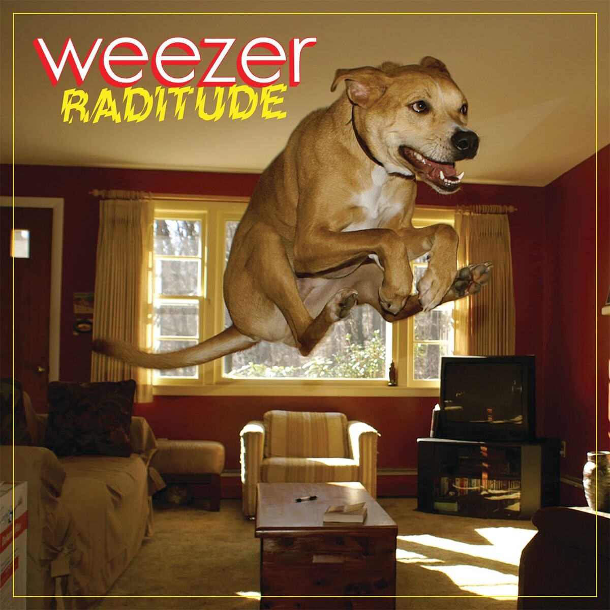Album cover of Raditude