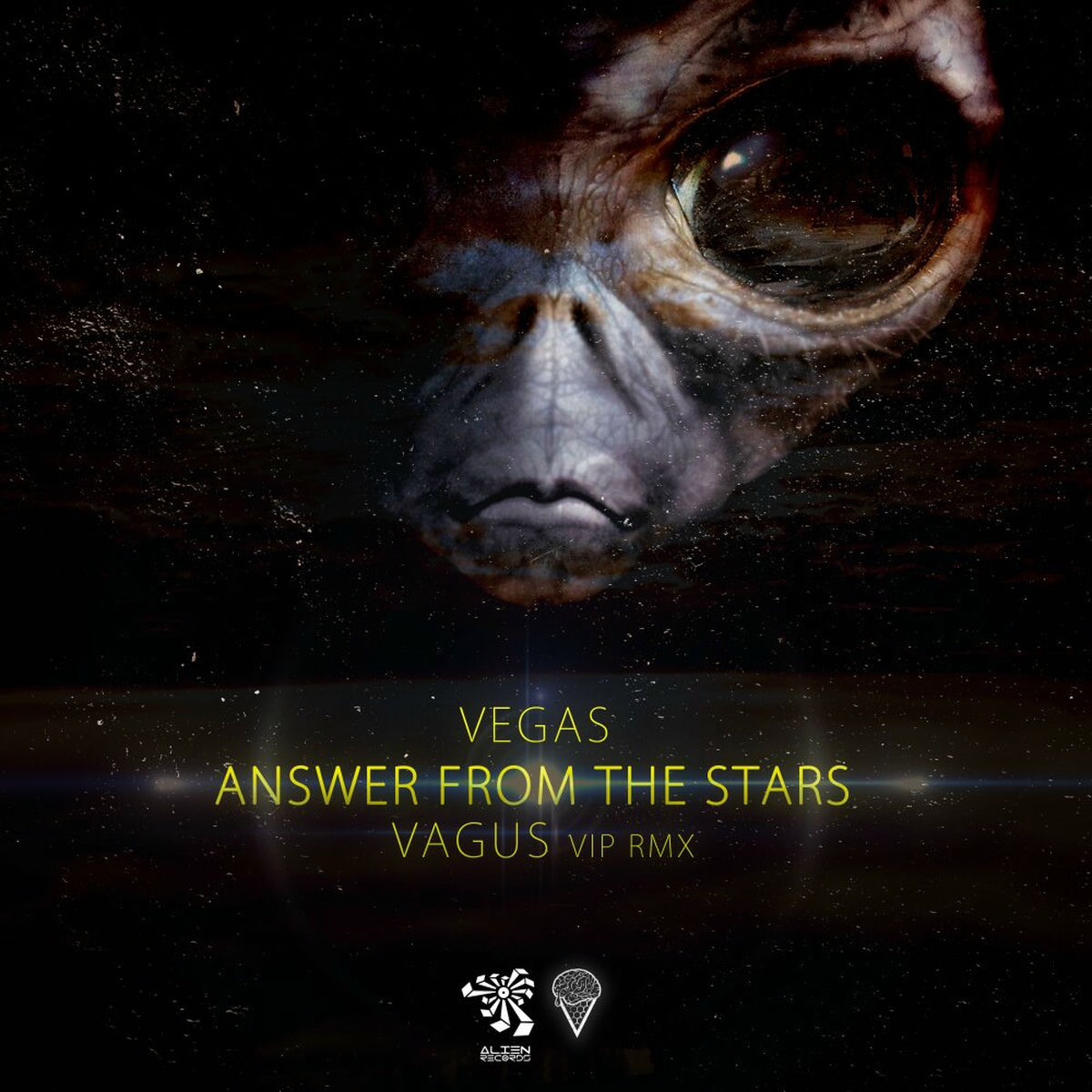 Album cover of Answer From The Stars (Vagus Vip Remix)