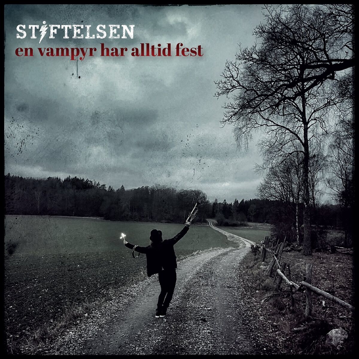 Album cover of En vampyr har alltid fest