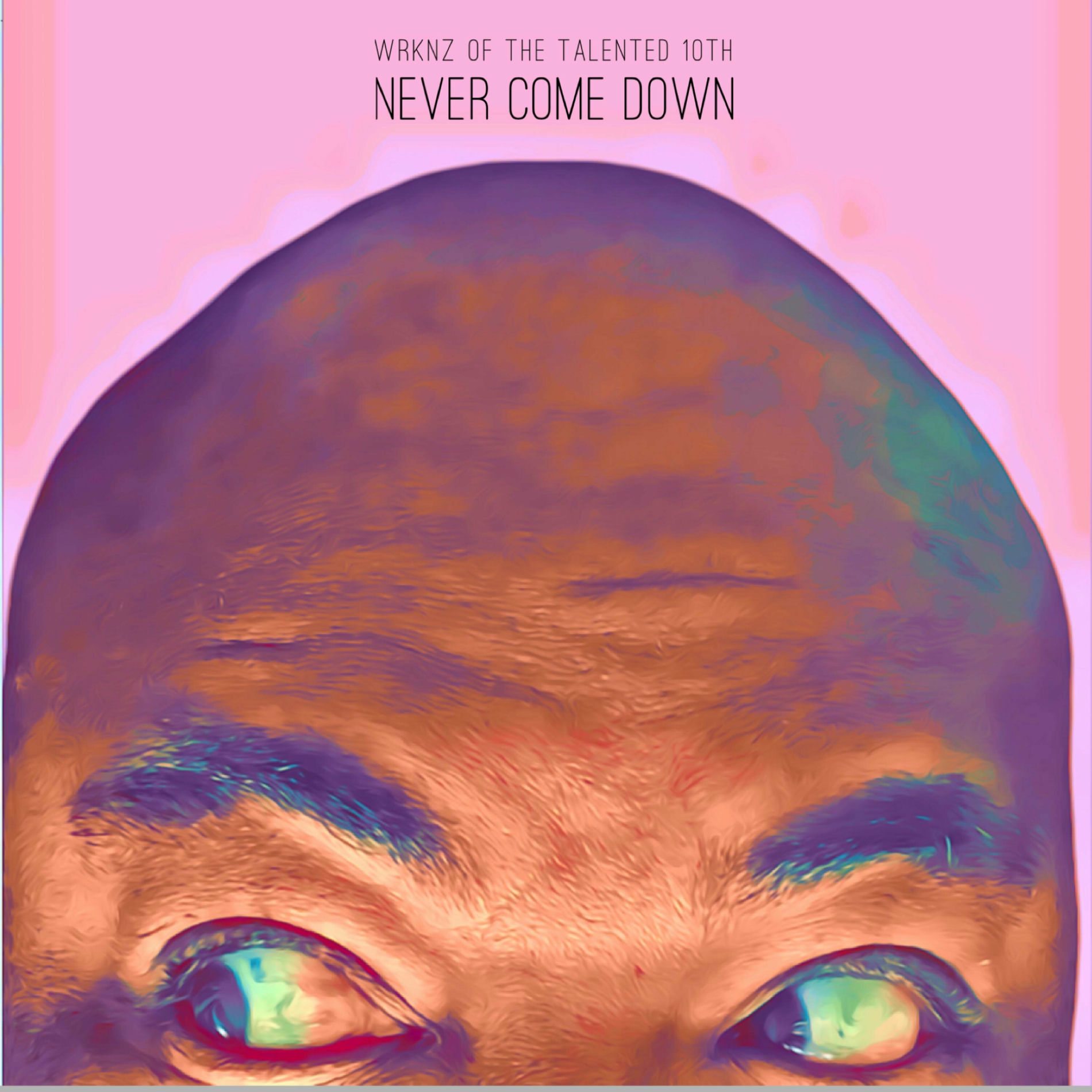 Album cover of Never Come Down