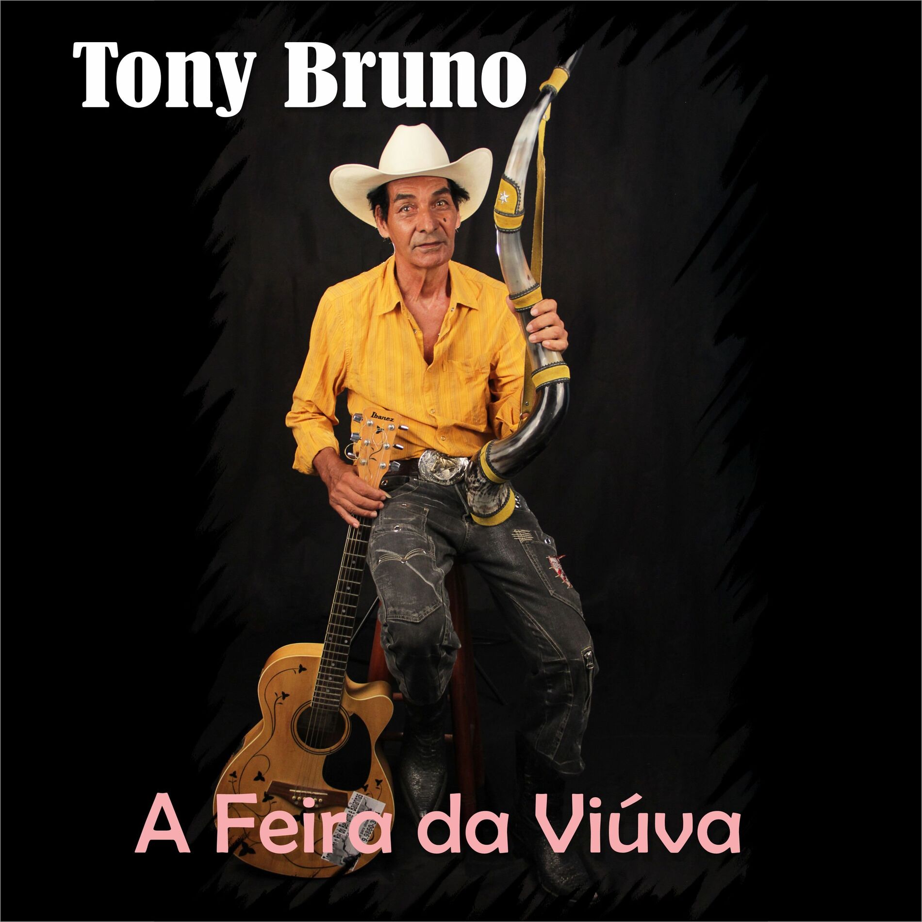 Album cover of A Feira da Viúva