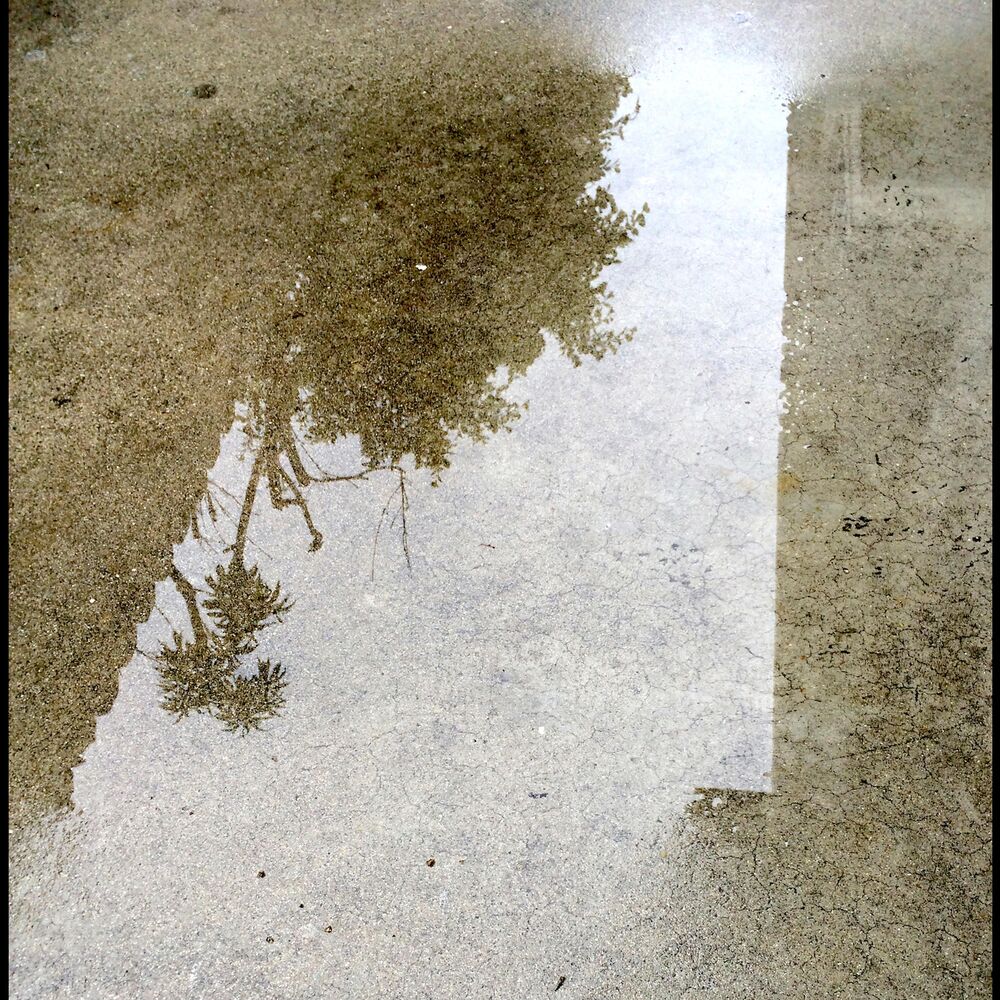 Picture of Cement Rubbings