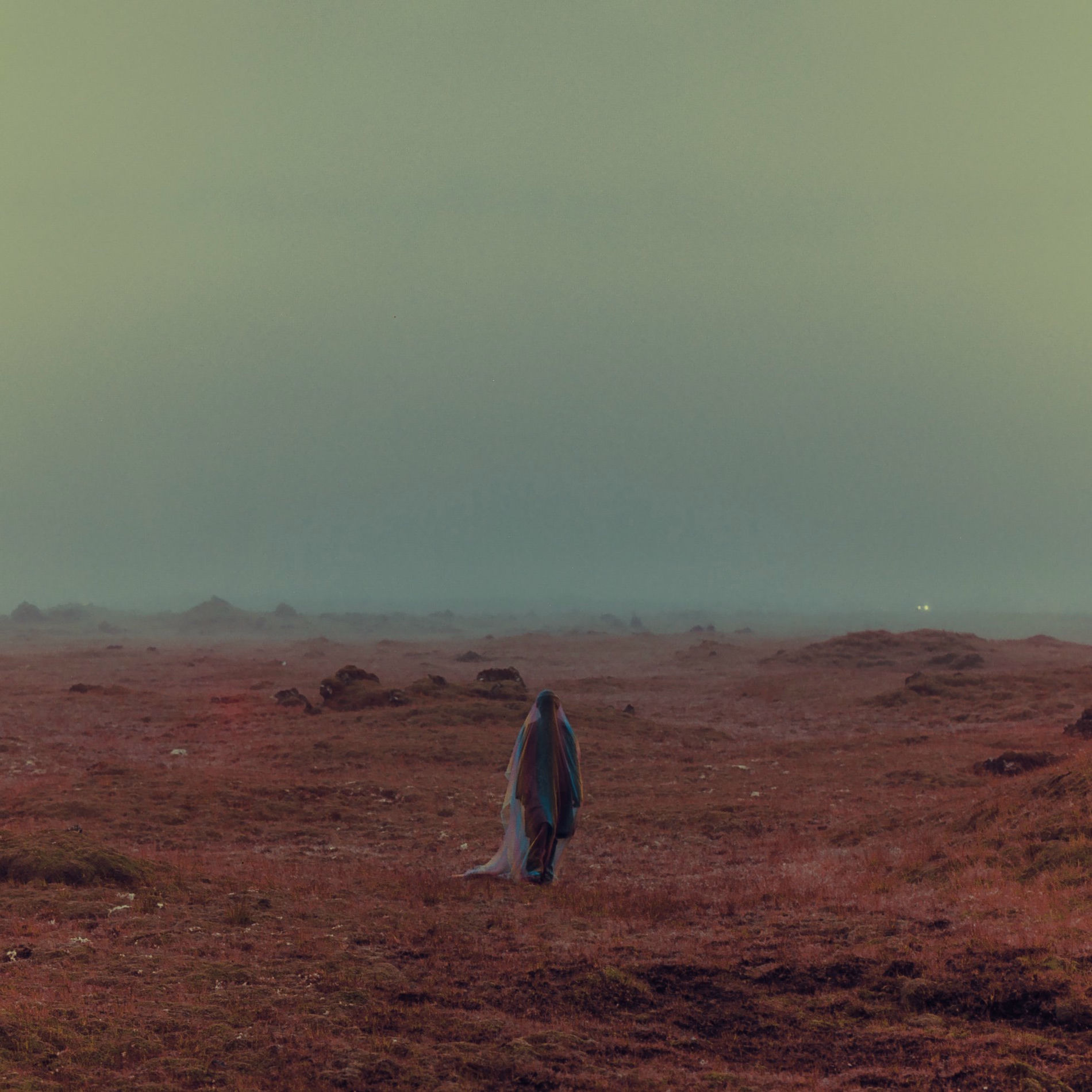 Album cover of Fallen Paradise