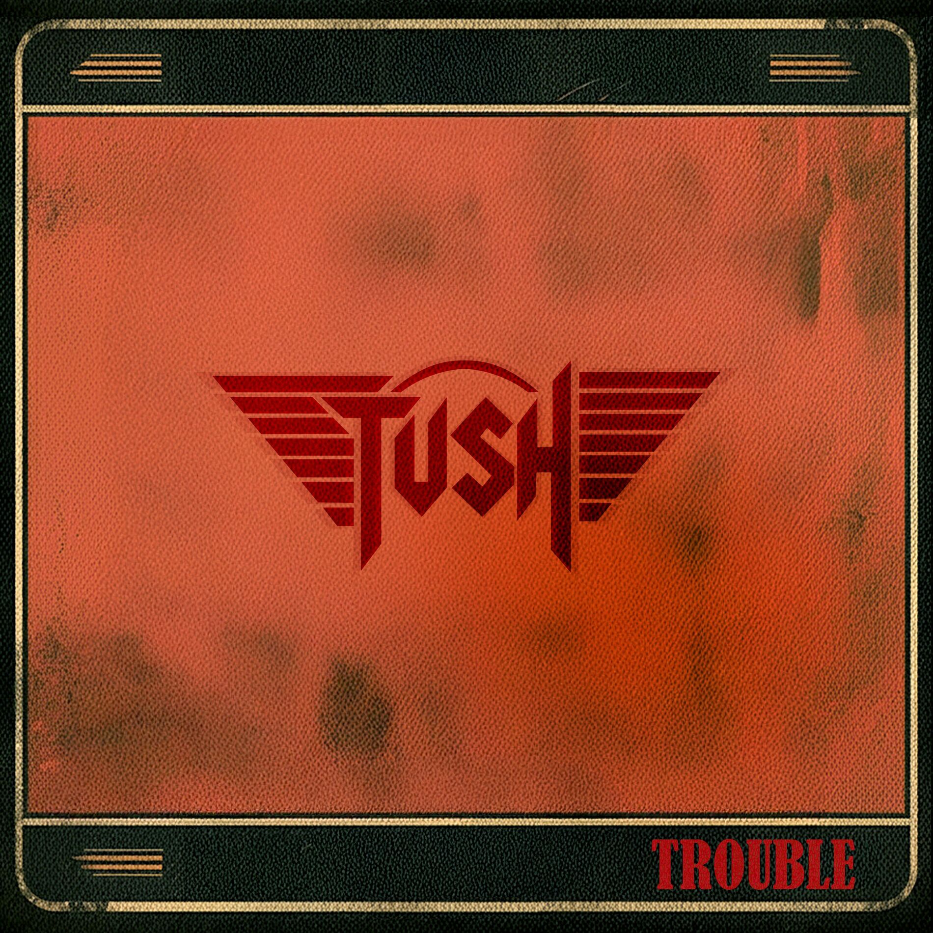 Album cover of Trouble