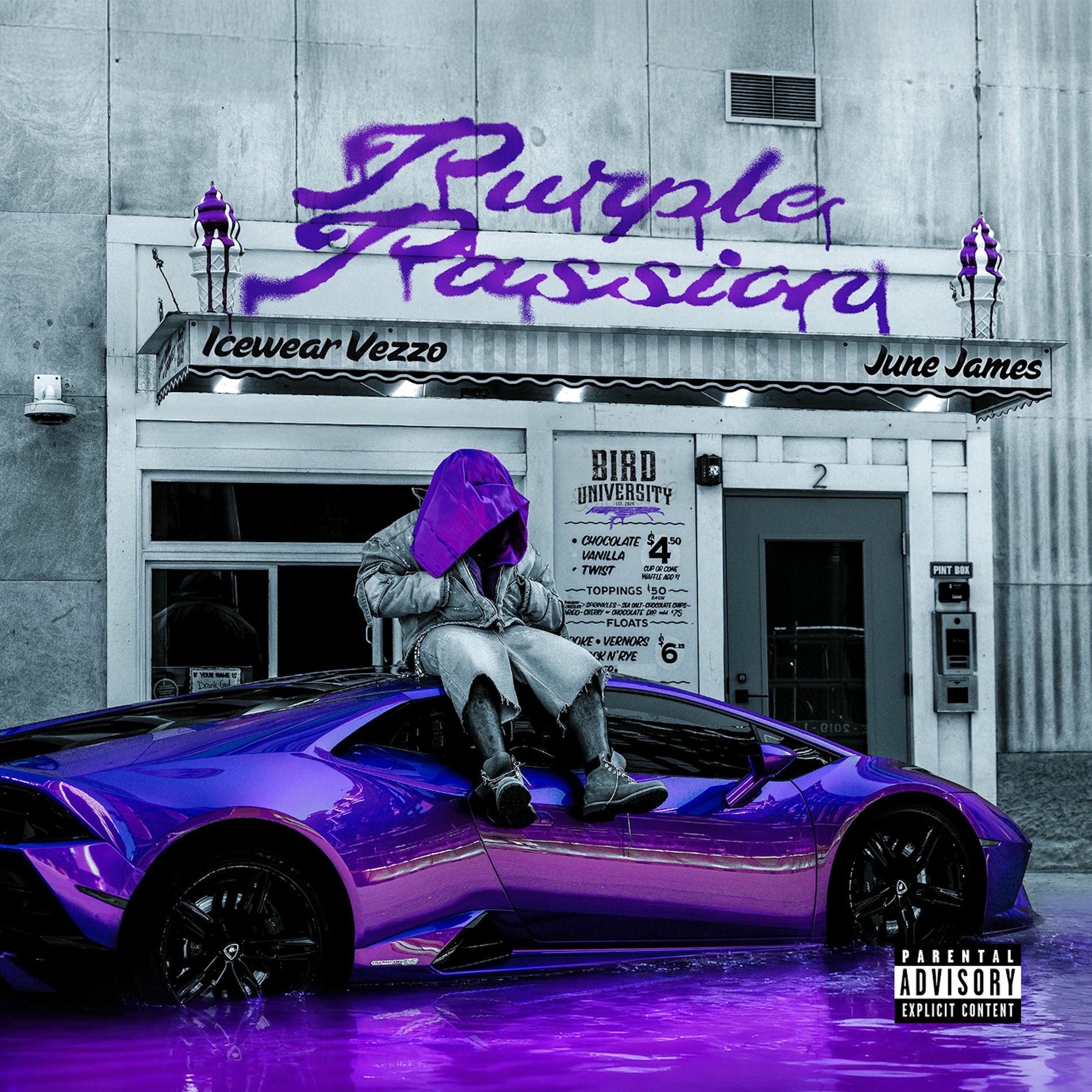 Album cover of Purple Passion