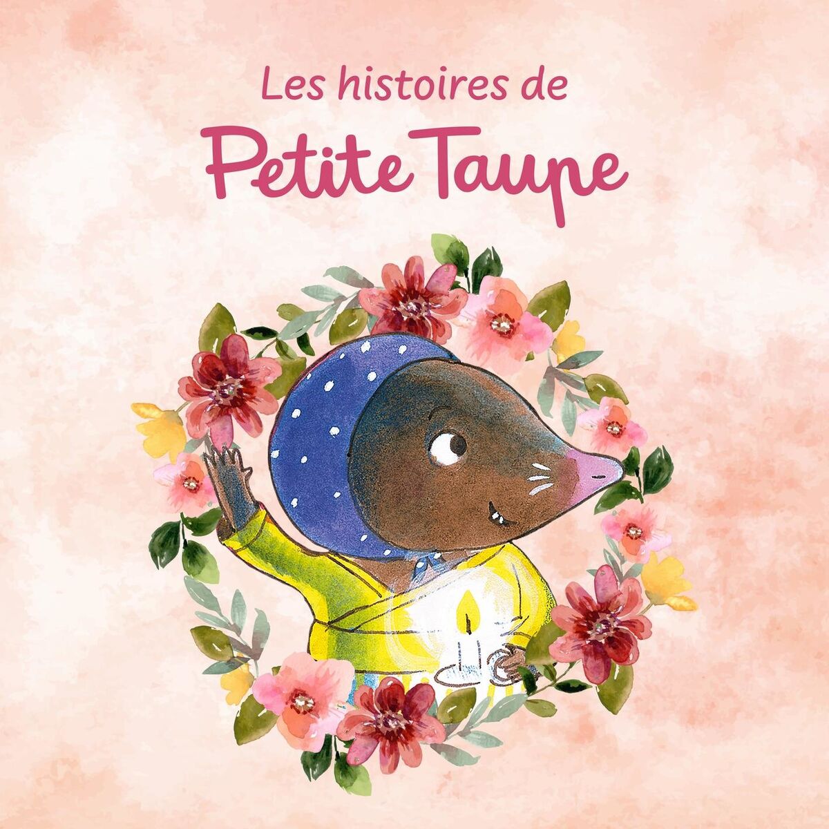 Album cover of Les histoires de Petite Taupe