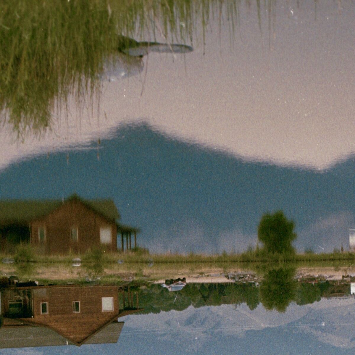 Album cover of Nature Between