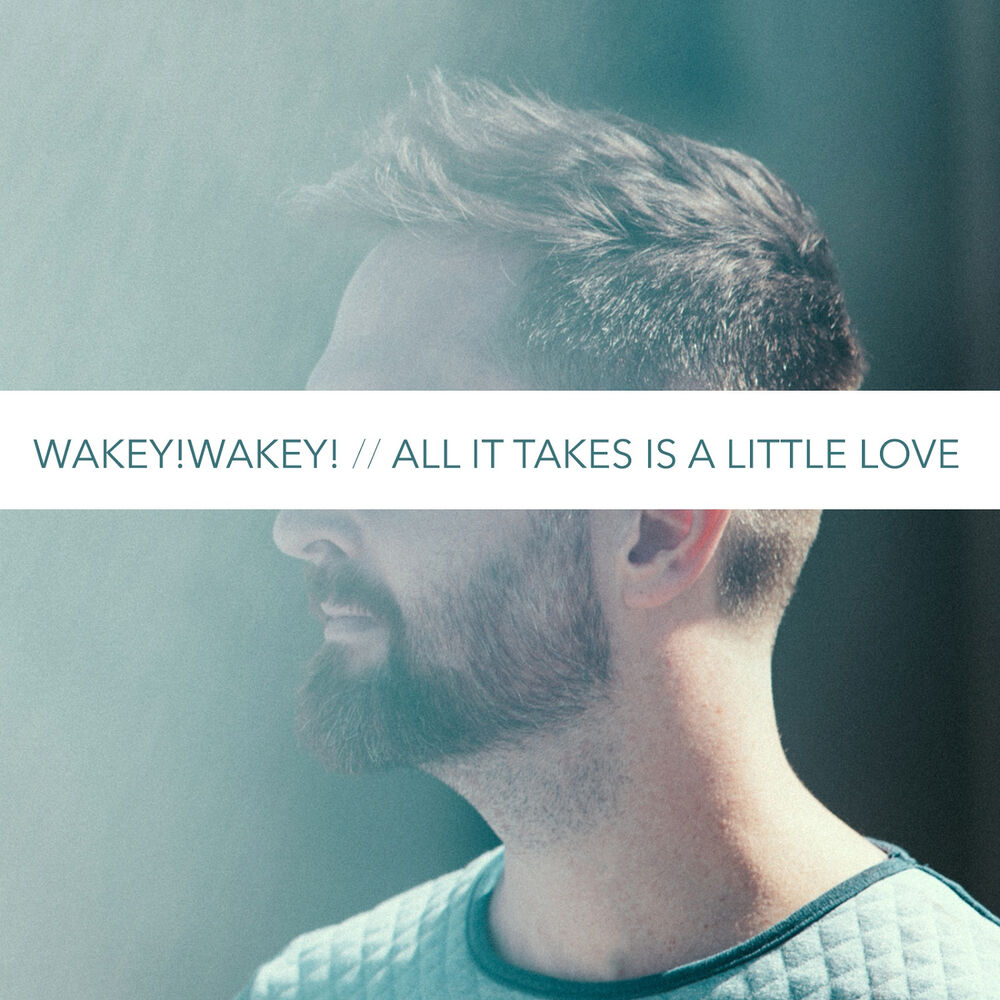 Picture of All It Takes Is a Little Love