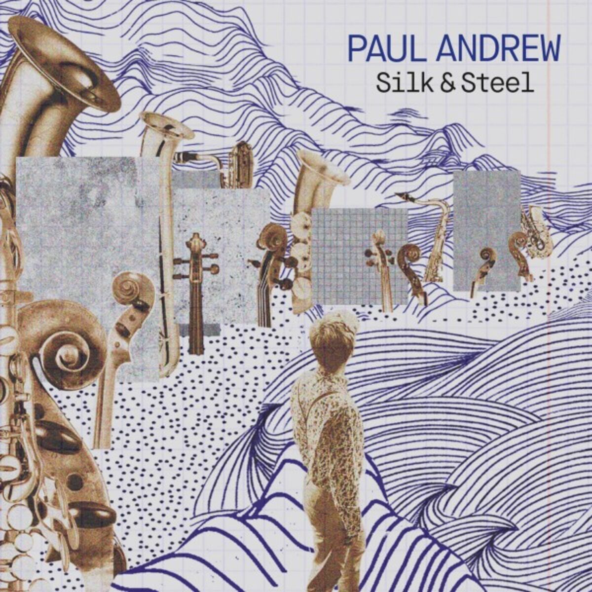 Album cover of Silk & Steel