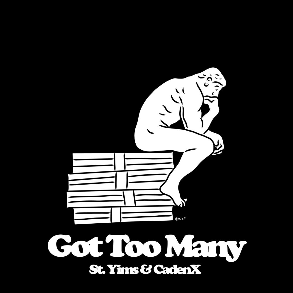 Picture of Got Too Many