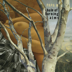 Cover of Hole of Burning Alms