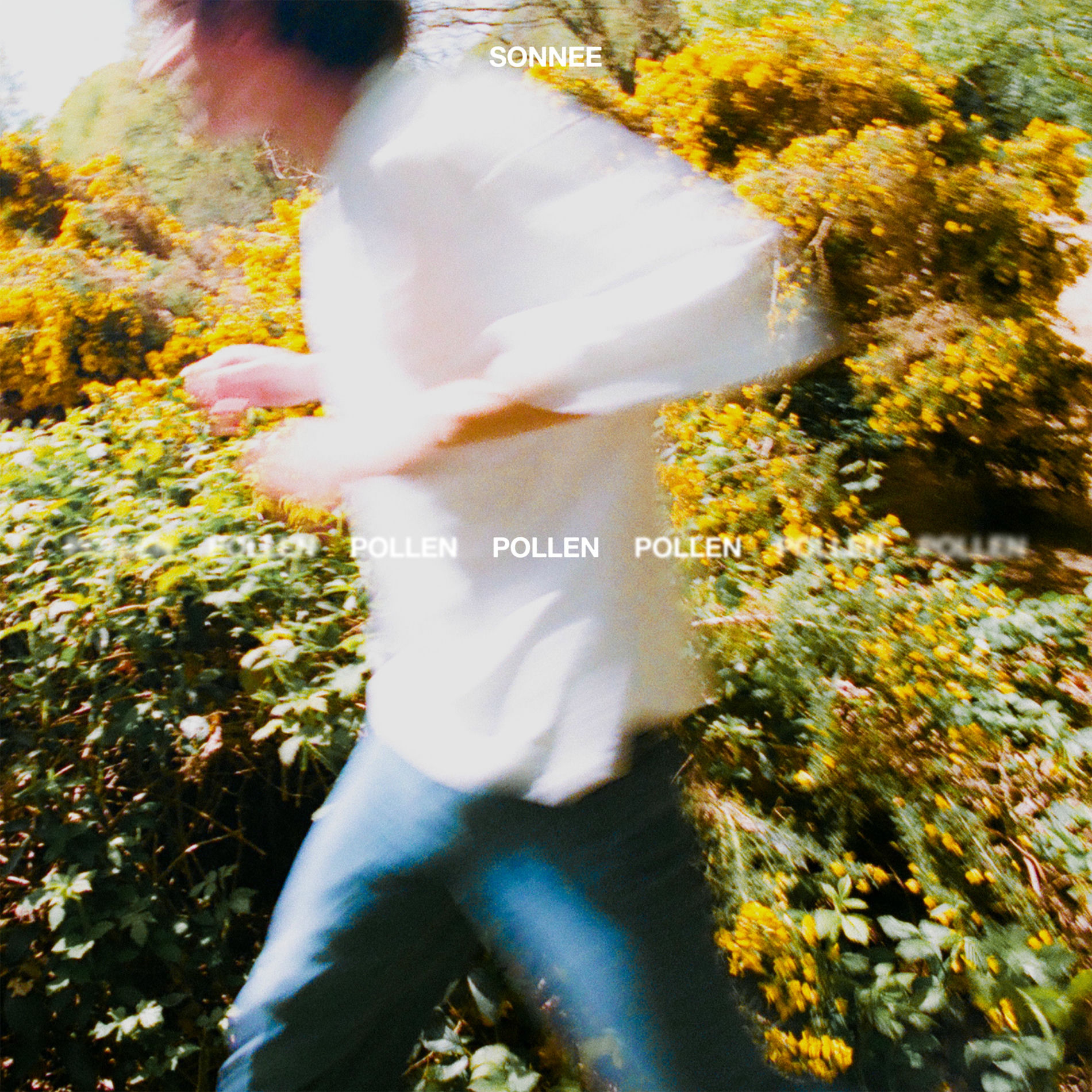 Album cover of Pollen