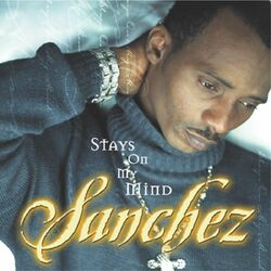 Cover of Stays On My Mind