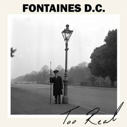 Cover of Too Real