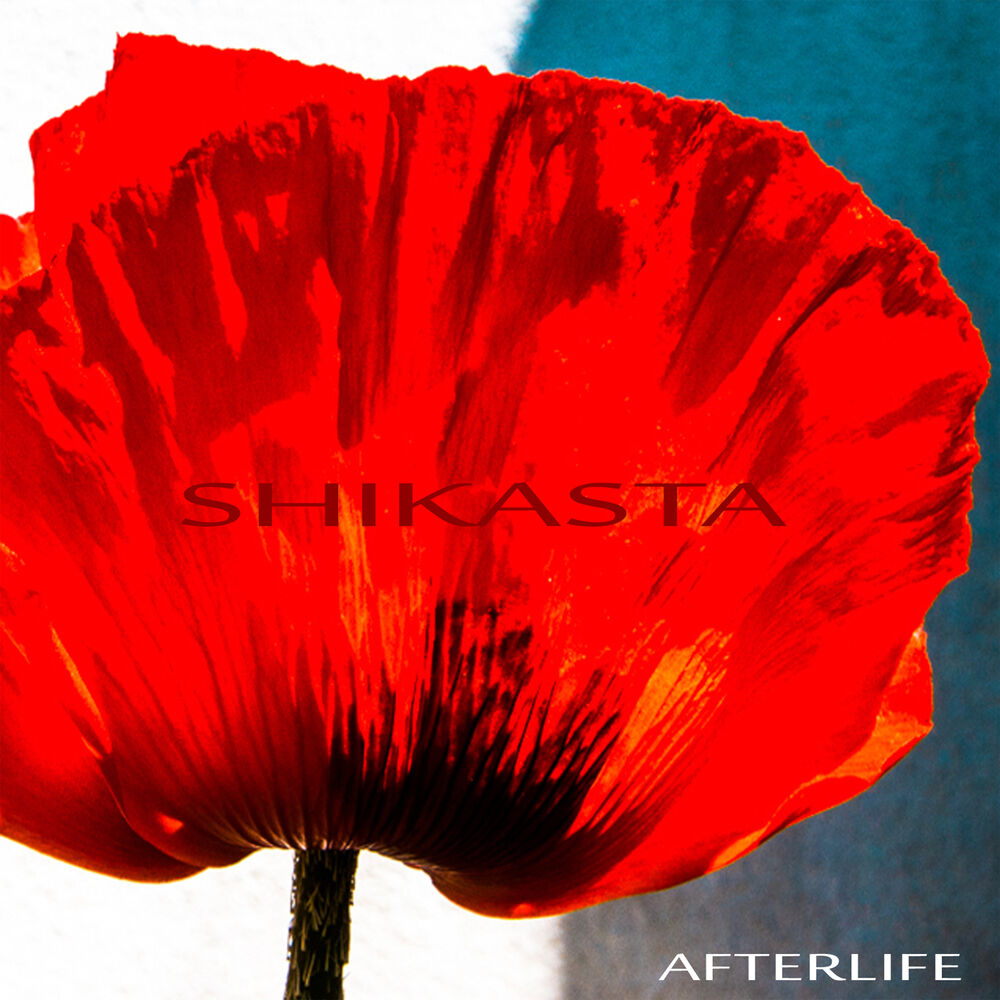 Picture of Shikasta
