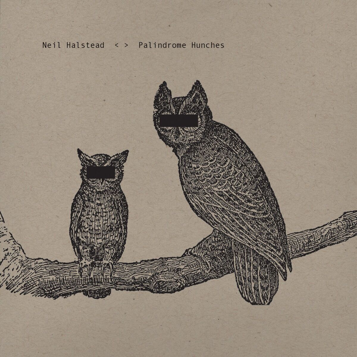 Album cover of Palindrome Hunches