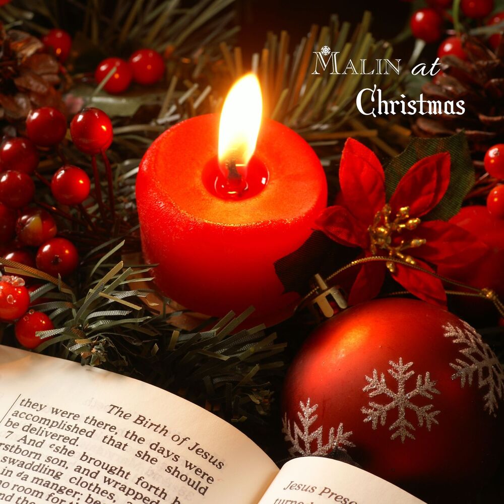 Picture of MALIN at Christmas