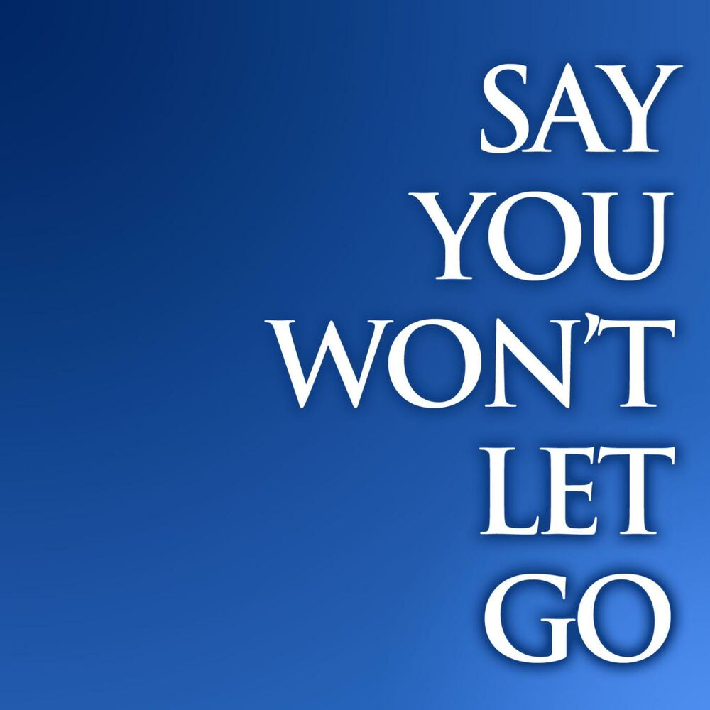 Picture of Say You Won't Let Go