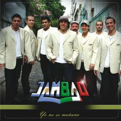 Cover of Yo No Sé Mañana