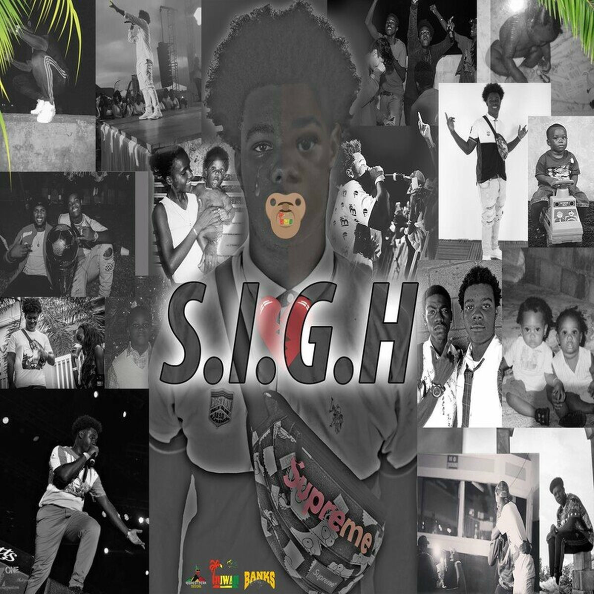 Album cover of S.I.G.H (Remastered 2020)