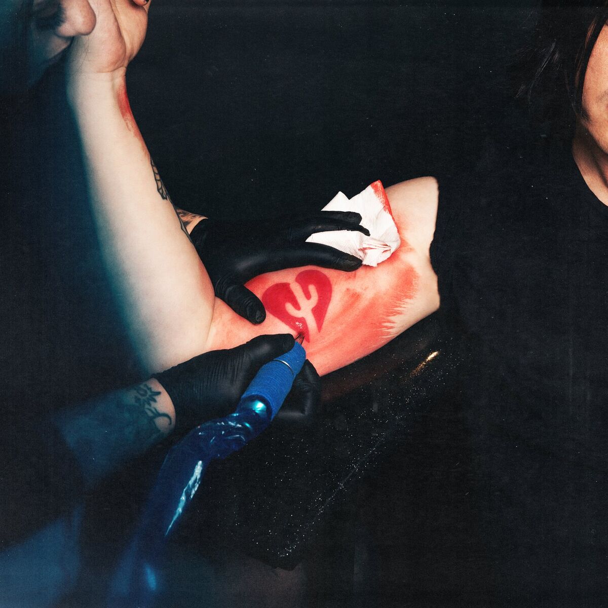 Album cover of Sundressed