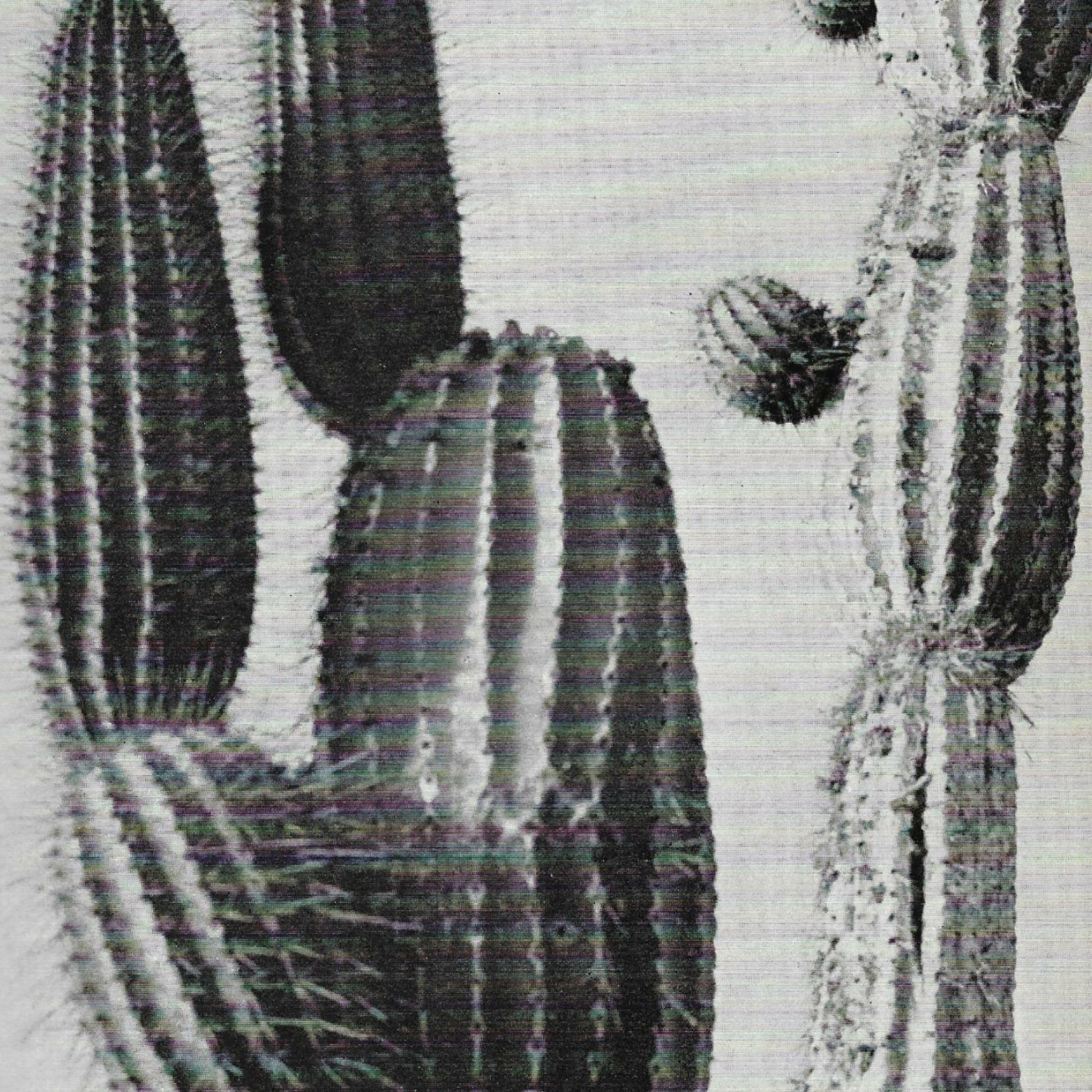 Album cover of A bite of papaya