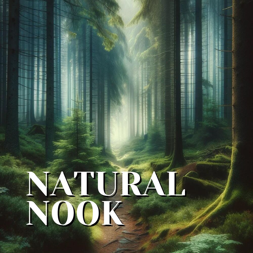 Picture of Natural Nook