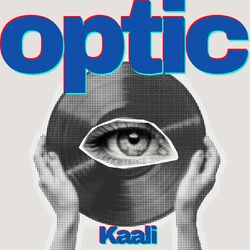 Cover of Optic