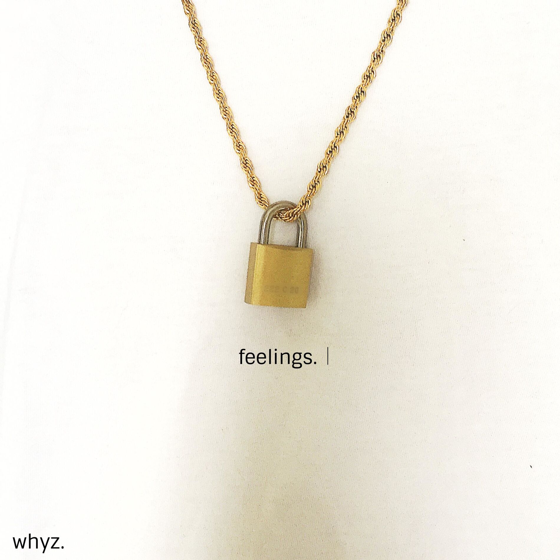 Album cover of feelings.