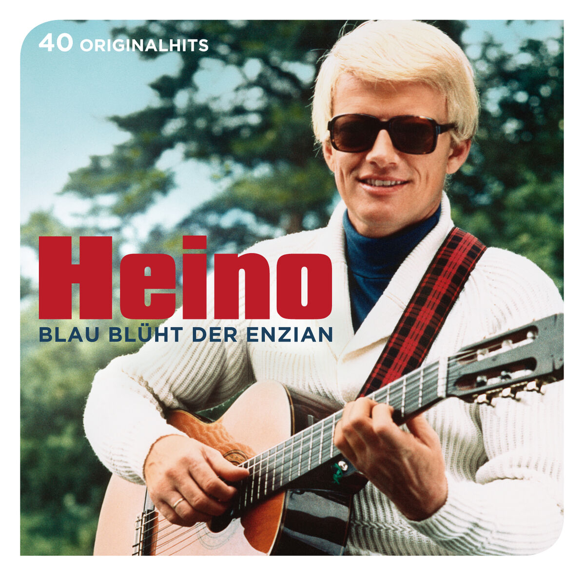 Album cover of Die lustigen Holzhackerbub'n