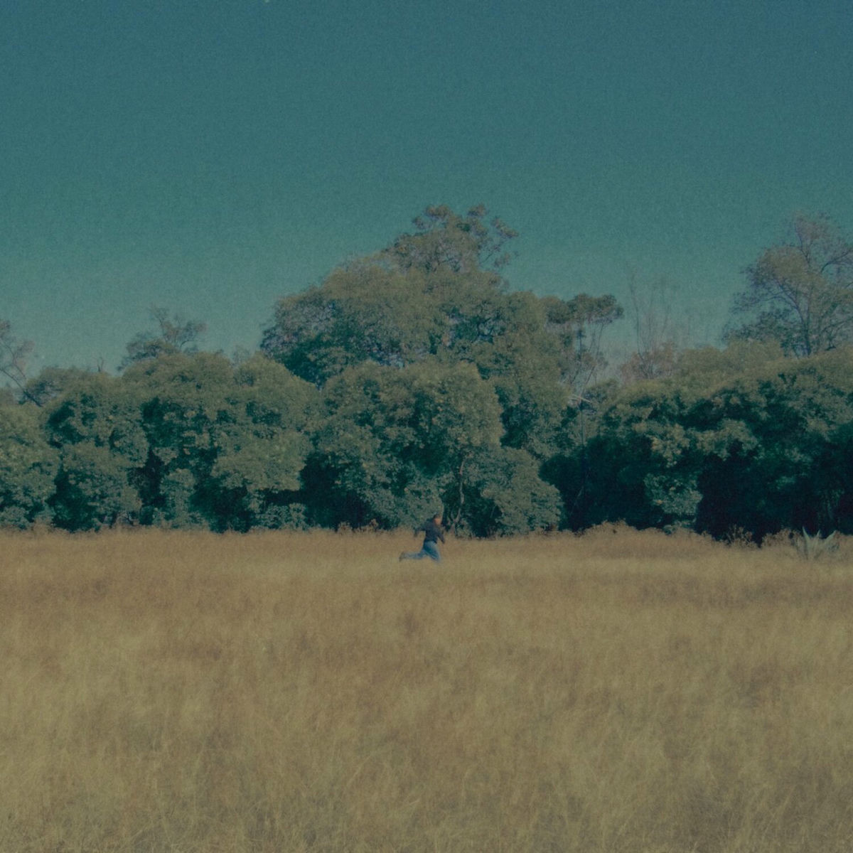 Album cover of No me siento vivo