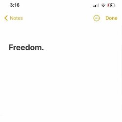 Cover of Freedom.
