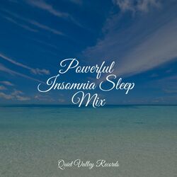 Cover of Powerful Insomnia Sleep Mix