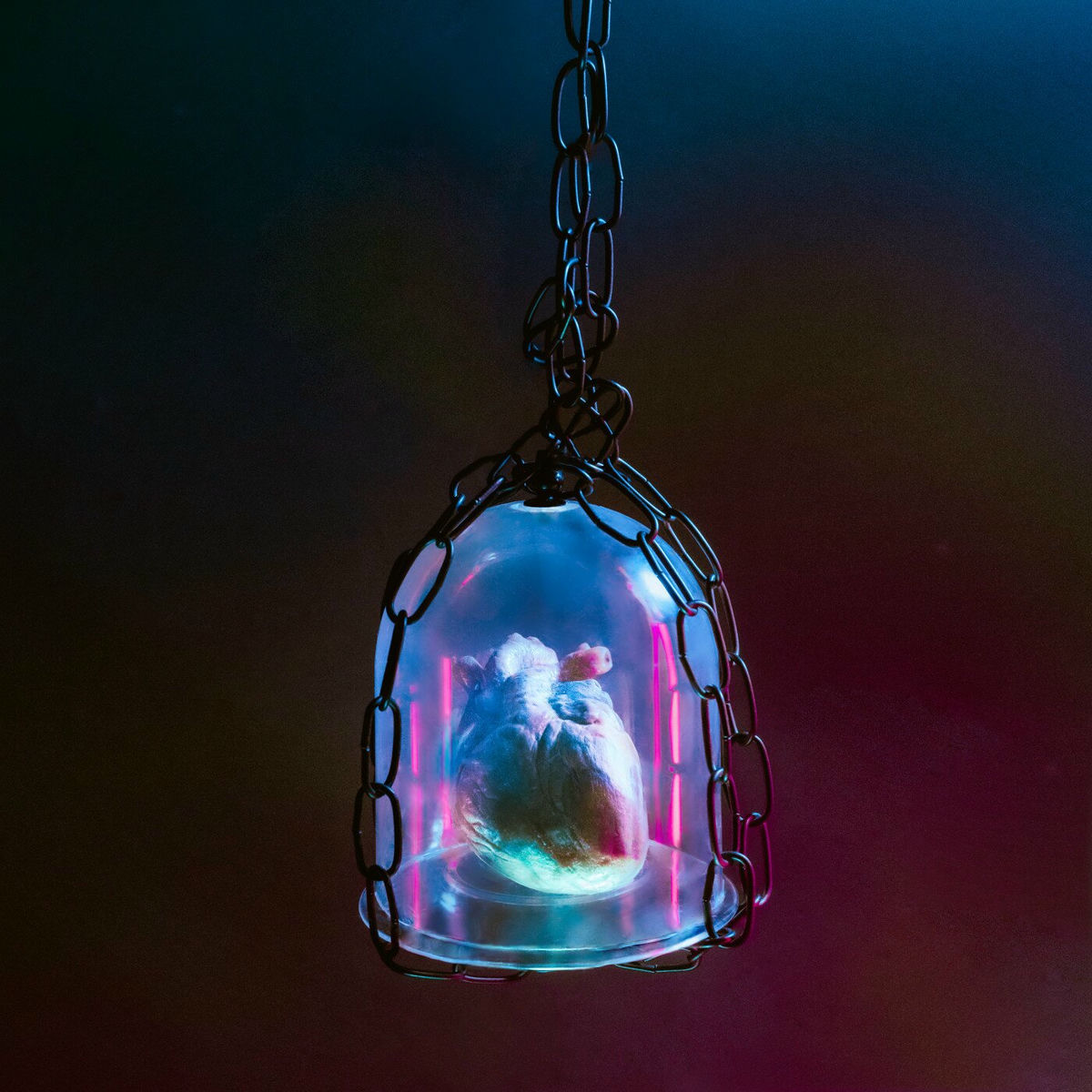 Album cover of oversharing