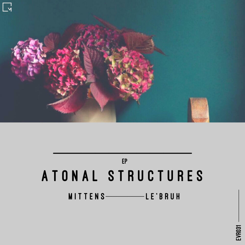 Picture of Atonal Structures
