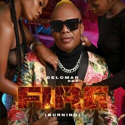 Cover of Fire (Burning)