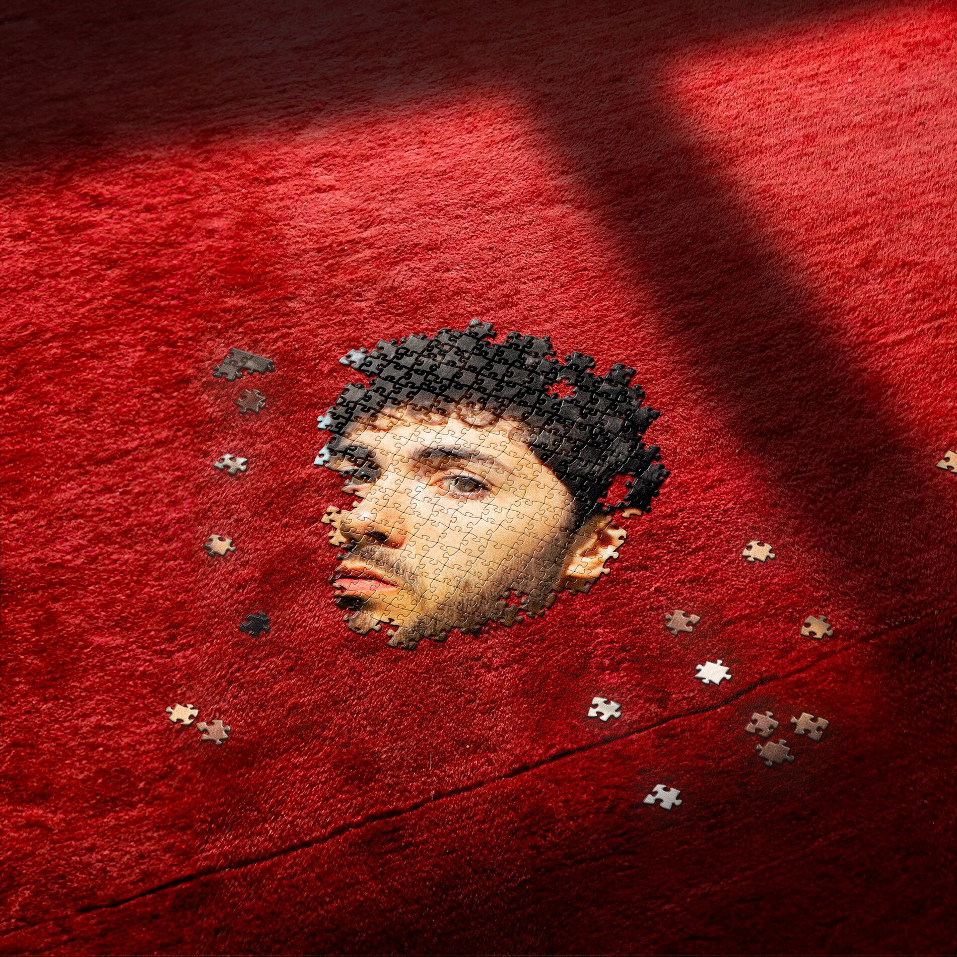 Album cover of Puoi (feat. Pinguini Tattici Nucleari)