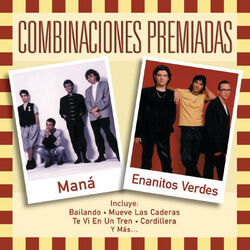 Cover of Combinaciones Premiadas