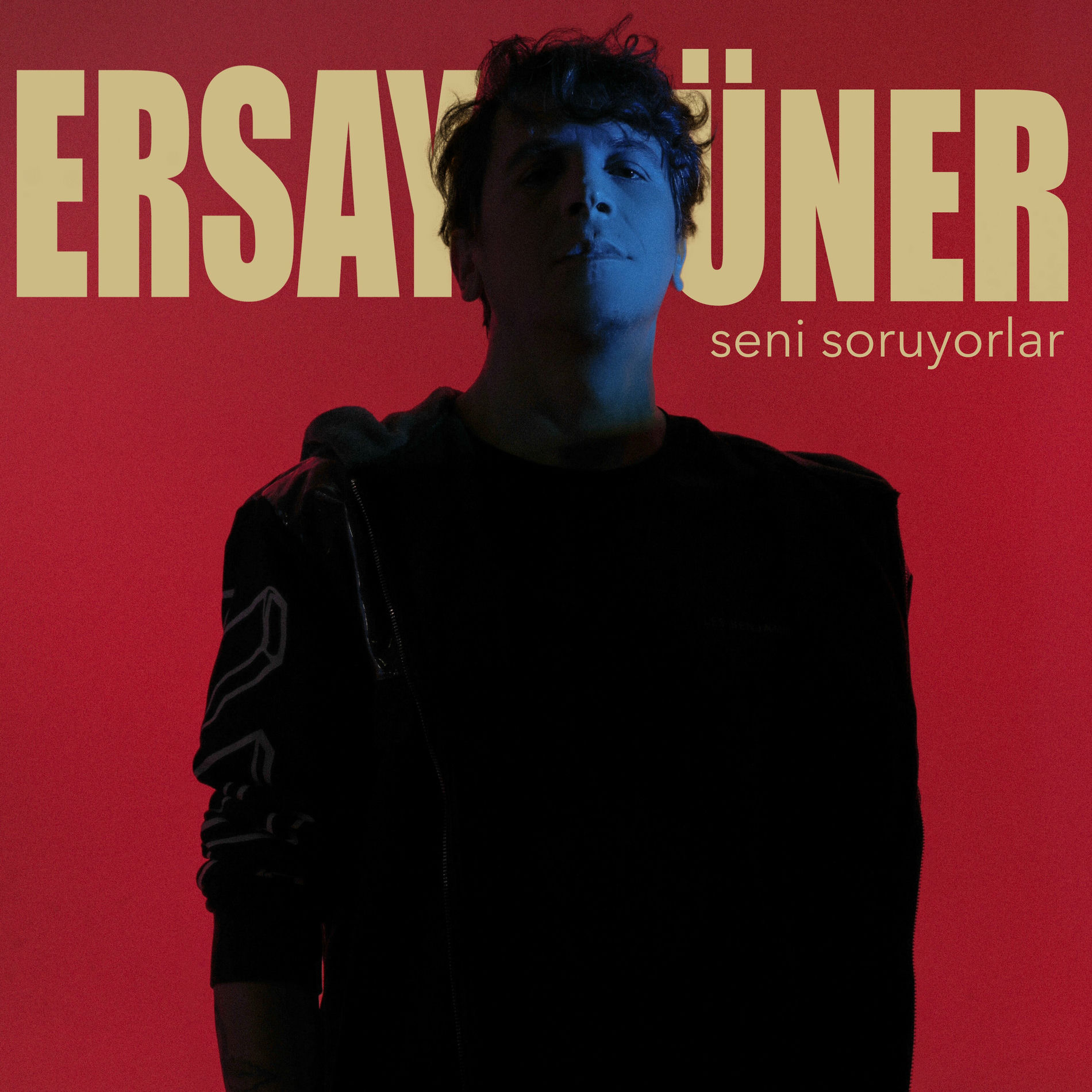 Album cover of Seni Soruyorlar